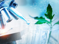 Research & Development