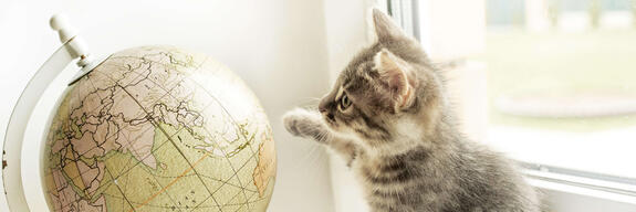 World Petcare